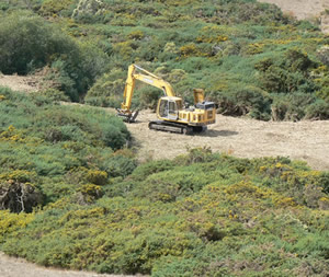 Gorse removal by heavy equipment