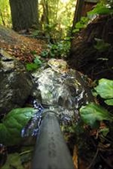 Water released by pipe into Dutch Bill Creek 