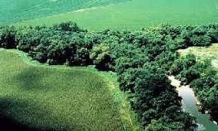 riparian corridor aerial photo