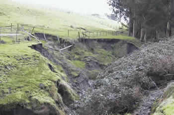 eroding bank of a seasonal creek on a ranch