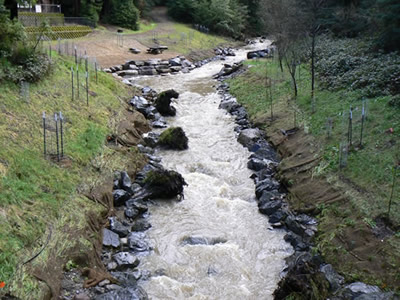 Dutch Bill Creek restored after dam removal. Shows bank stabilization with boulders.