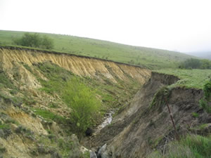 Gully formed by erosion