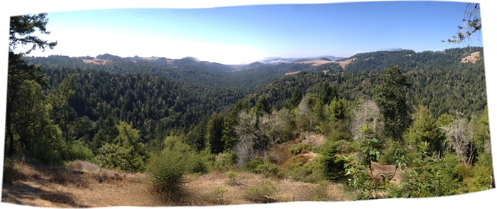 View from the top of Willow Creek Watershed