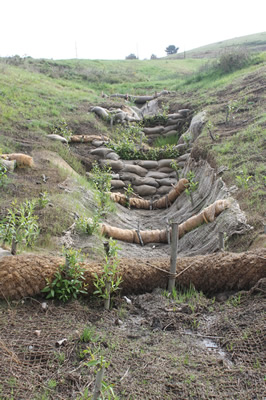 gully restoration